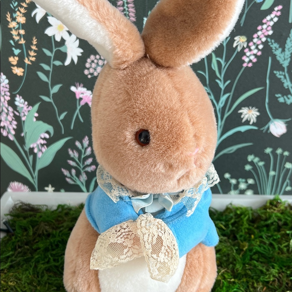 VINTAGE Peter Rabbit Beatrix Potter Eden plush toy R. Dakin company 1980’s - Picture 6 of 14